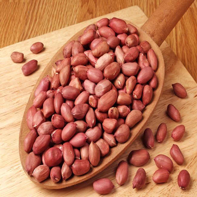 Shandong Origin Food Grade Raw Groundnut Kernel