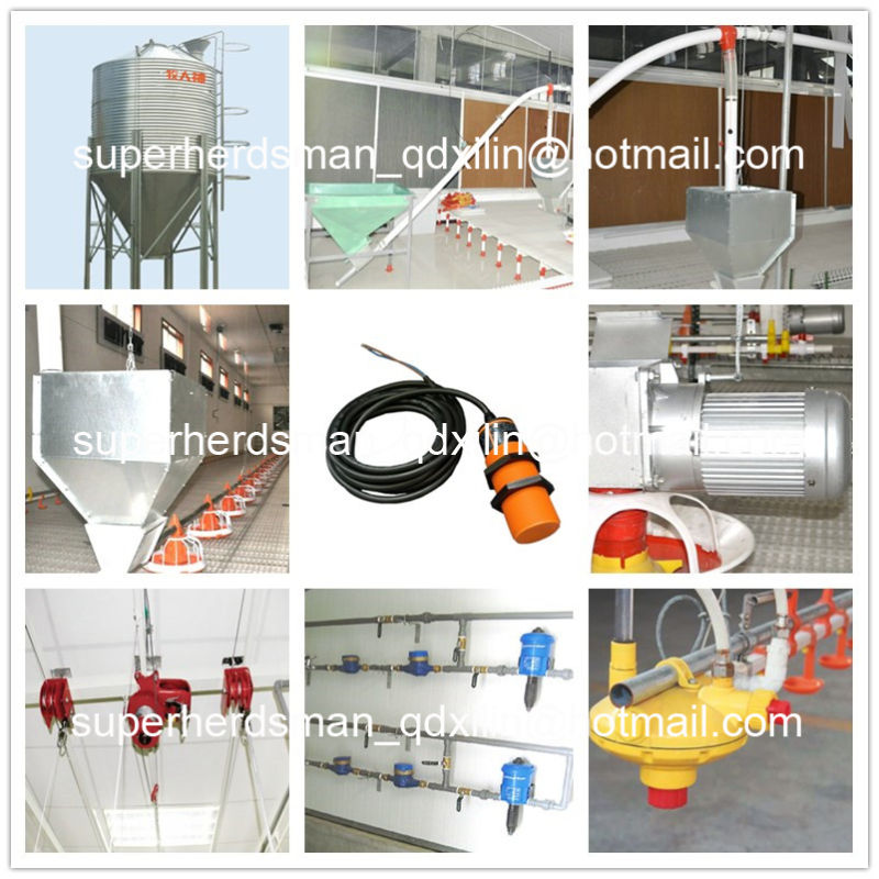 Full Set Automatic Poultry Farm Equipment for Broiler