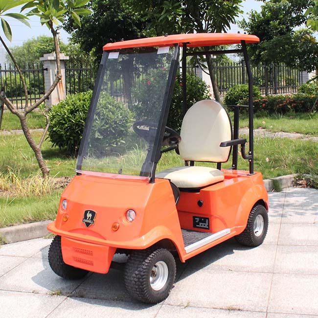 China CE Certified Comfortable Single Seat Electric Golf Cart (DG-C1)