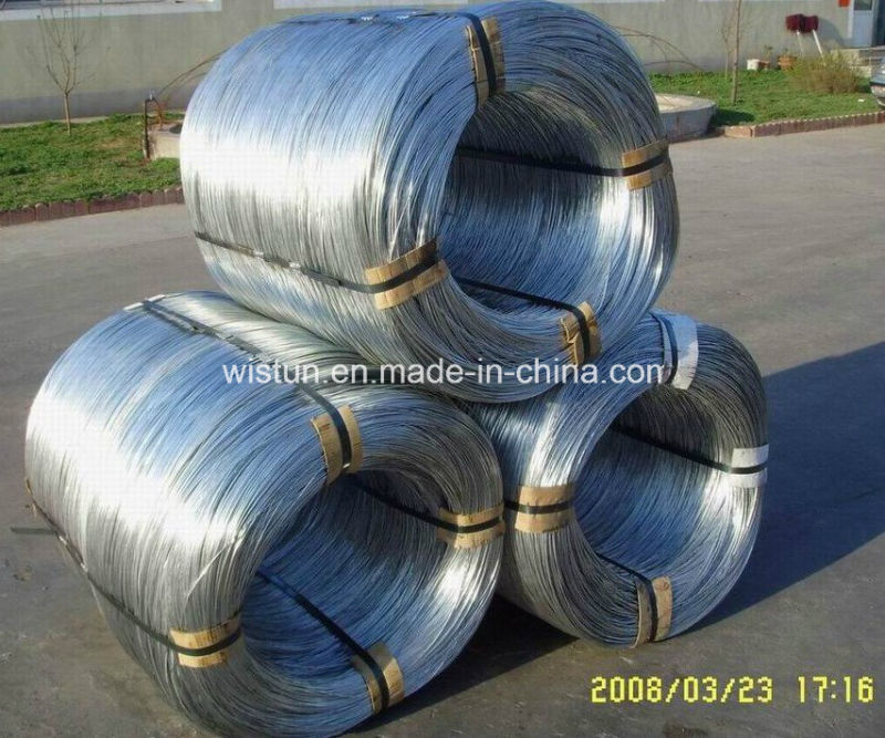 0.25mm-5.0mm Hot Dipped Electro Galvanized Wire (ISO9001: 2000)