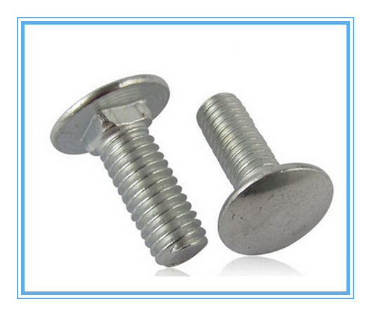 DIN 603 Stainless Steel 304/316 Carriage Bolts