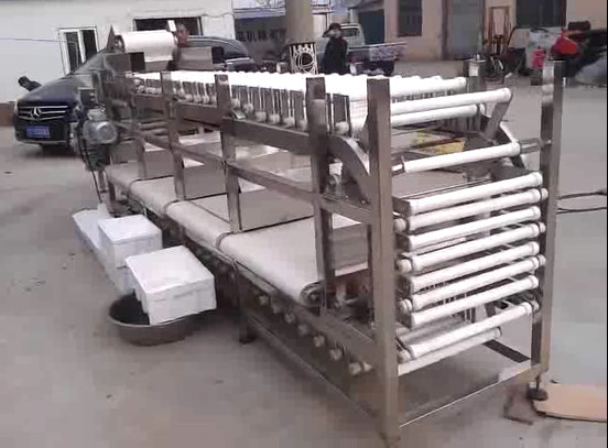 Potato Sorting Machine Fruit Grader Machine Carrot Sorter Machine