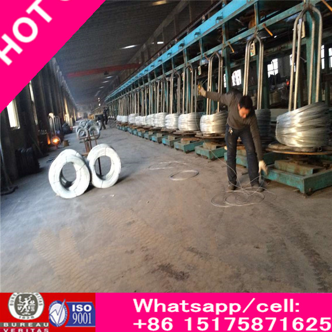 High Carbon Galvanized Steel Roping Wire with Zinc Coating