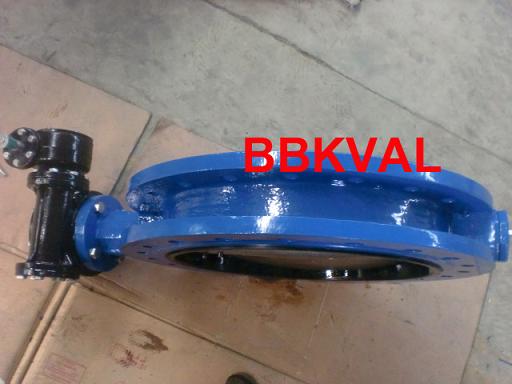 Rubber Lined Double Flange Butterfly Valve