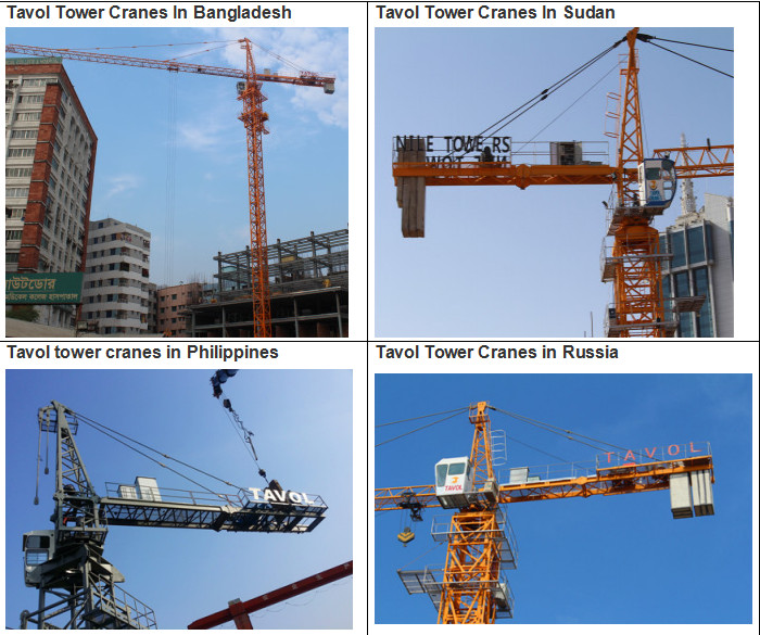 Best Quality Construction Equipment Qtk Model Tower Crane with SGS