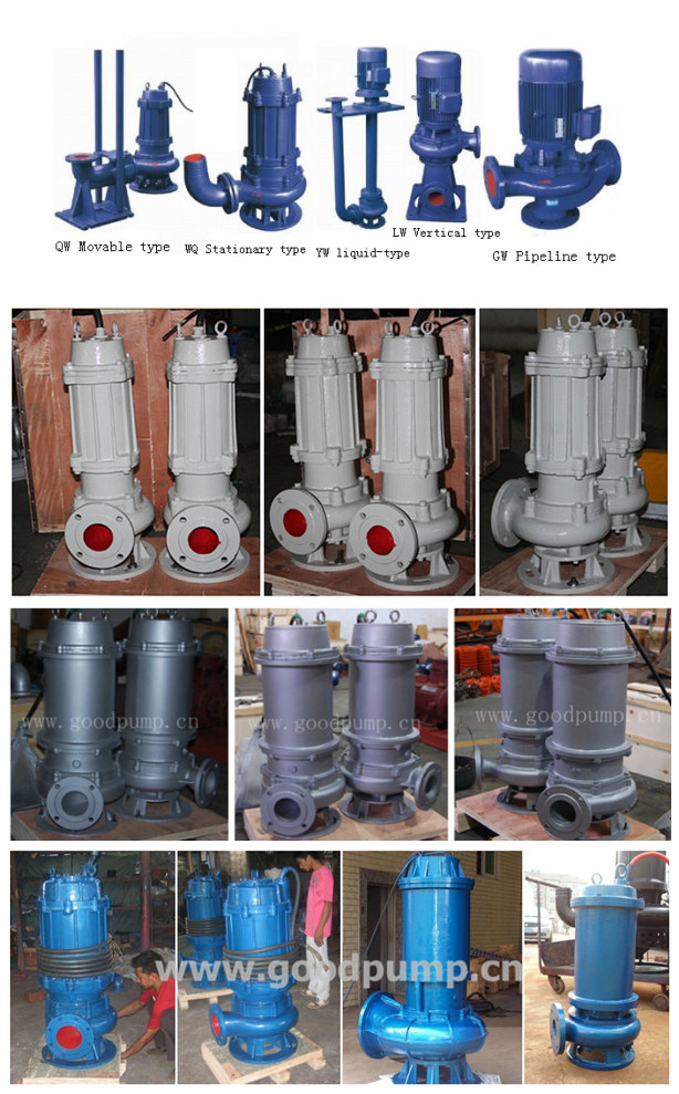 Yonjou Qw Non-Blockage Sewage Pump