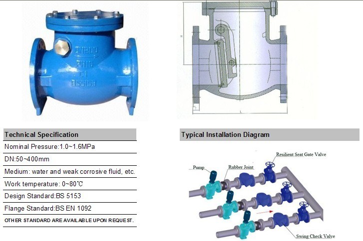 Used Non Return Check Valve