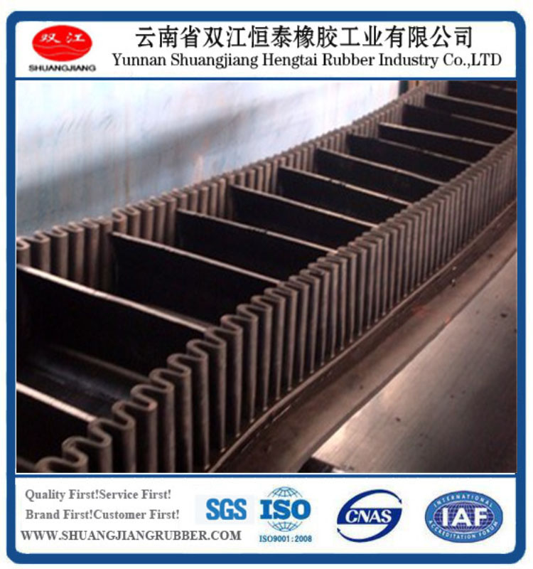 Large Angle Conveyor Belt with 300mm Height