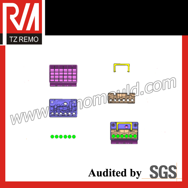 Plastic Battery Case Mould