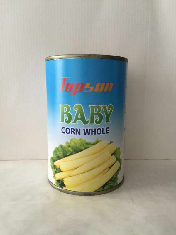 Canned Baby Corn with Top Quality