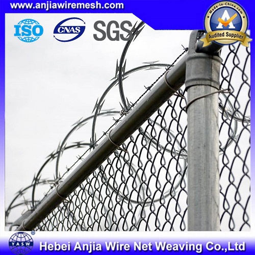 Hot Dipped Galvanized Razor Iron Wire for Security Fence with SGS