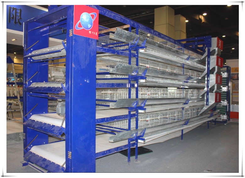 Layer Birds Battery Cage