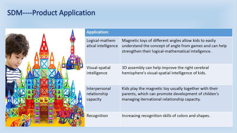 3D Educational Magnetic Toys with Rare Earth Magnet