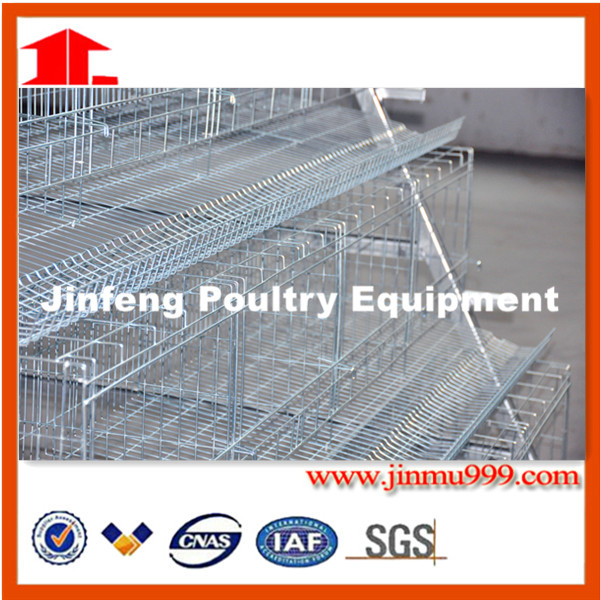 Poultry Farm Poultry Equipment Chicken Cage Hot Sale in Nigeria