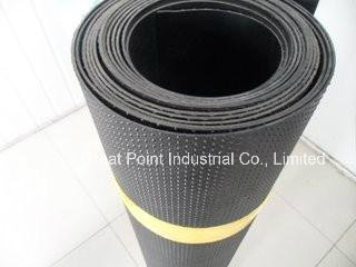 HDPE Geomembrane / HDPE Liner Sheet for Fish Farming