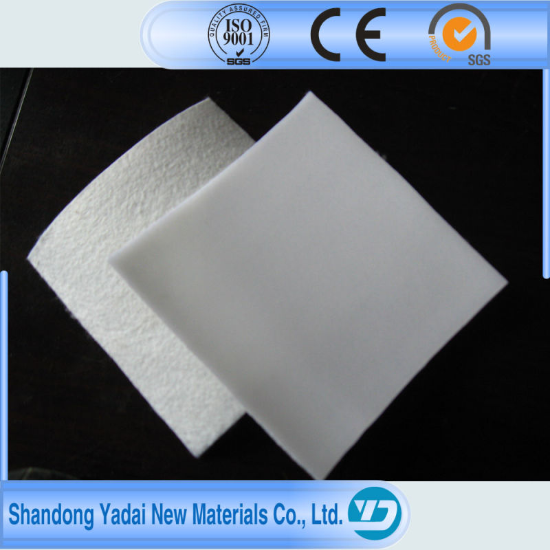 High Quality Seepage Proofing Waterproofing Geomembrane Best Price Membrane