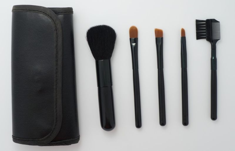 Free Sample 5PCS Black Nylon Cosmetic Brush Set