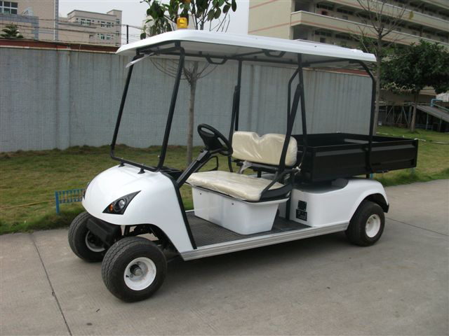 2 Seats Electric Colorful Golf Carts with Cargo Box (Du-G4L)