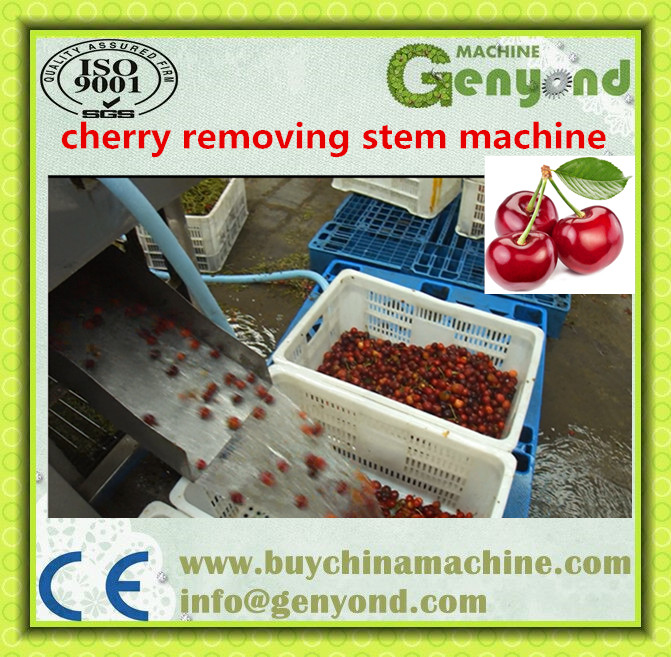 Amazing Cherry Stem Removing Machine, Cherry/Fruit Processing Machine