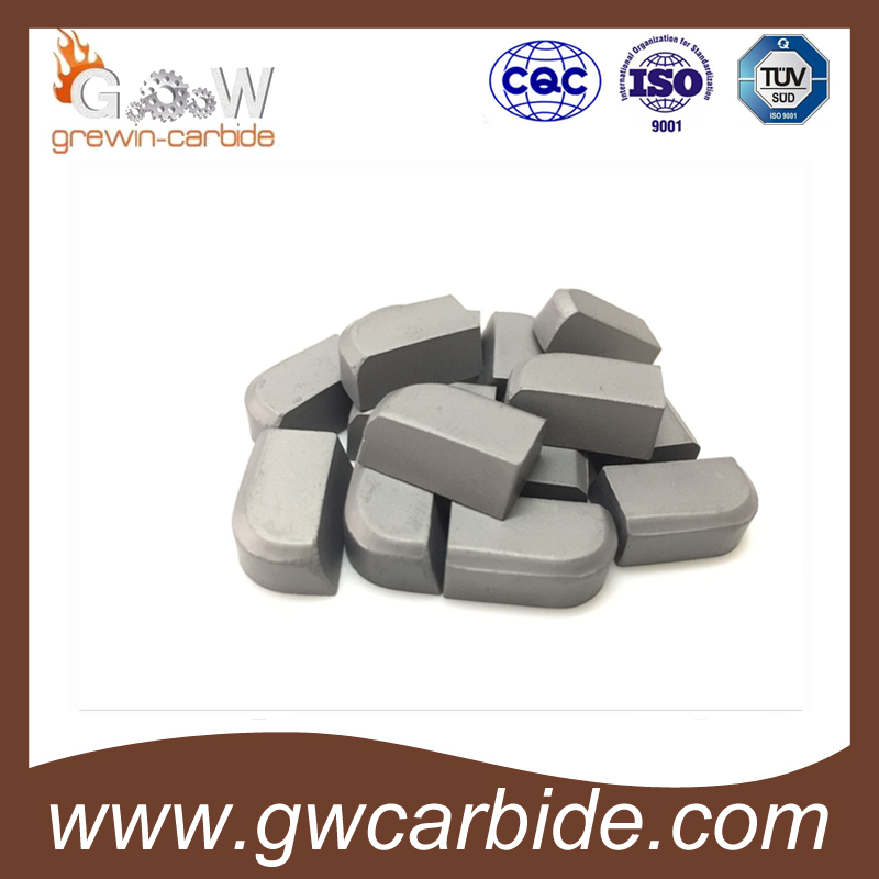 High Quality of Tungsten Carbide Brased Tips with Various Size