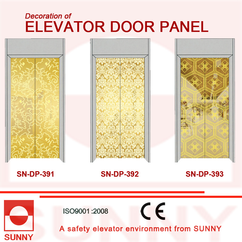 St. St Etching Door Panel for Elevator Cabin Decoration (SN-DP-385)