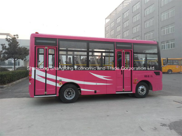 6.6m Passenger Bus 20 Seats to 28 Seats (LHD/RHD)