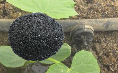 Organic 70% Humic Acid Fertilzier for Agriculture