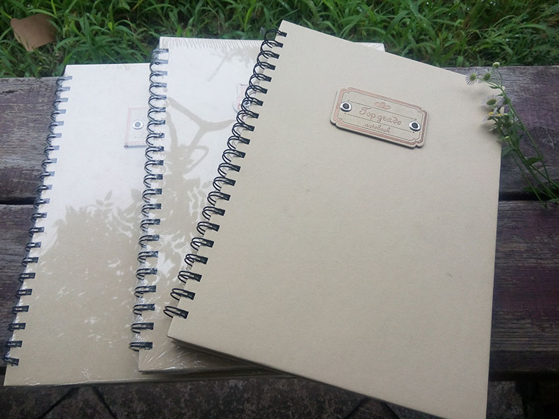 Wholesale Quality Kraft Paper Cover A4 / A5 Notebooks