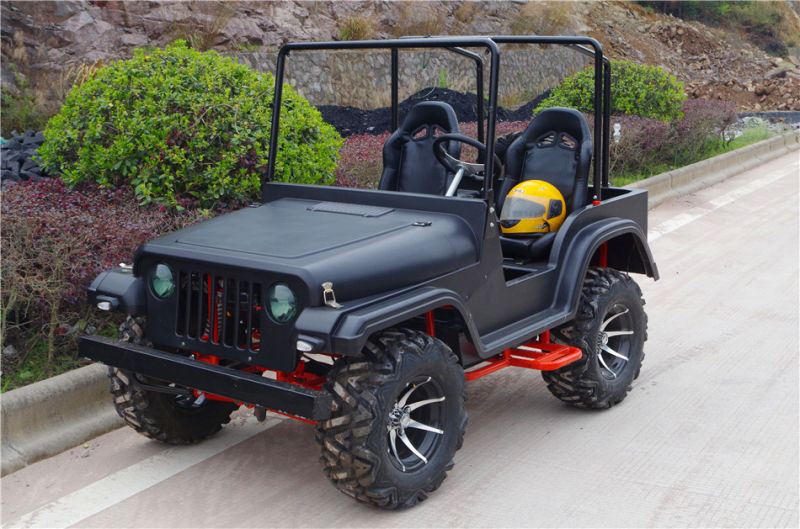 Cheap Dune Buggy for Sale Ce Approved