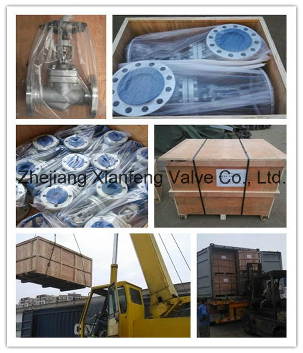 3PC Full Bore Worm Gear Operation Ball Valve