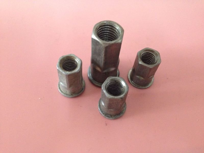 Black Zinc Plating Stainless Steel D Nut/Six Nut