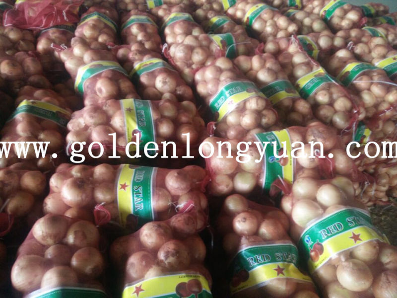 2016 Hot Sale High Quality Fresh Yellow Onion