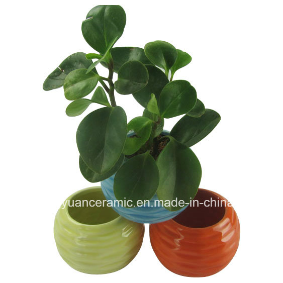 Color Round Shape Small Ceramic Jar for Growing Flowers