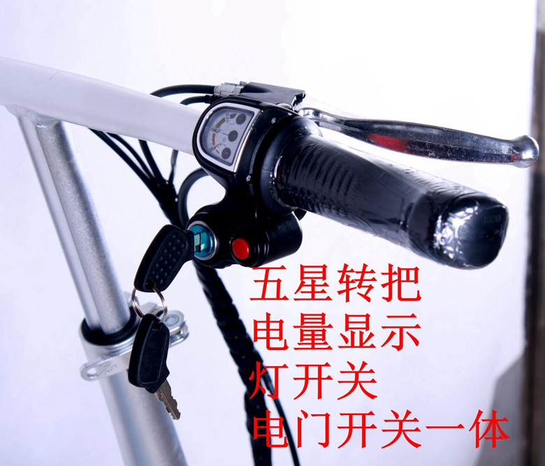 36V 14 Inch Electric Folding Bike