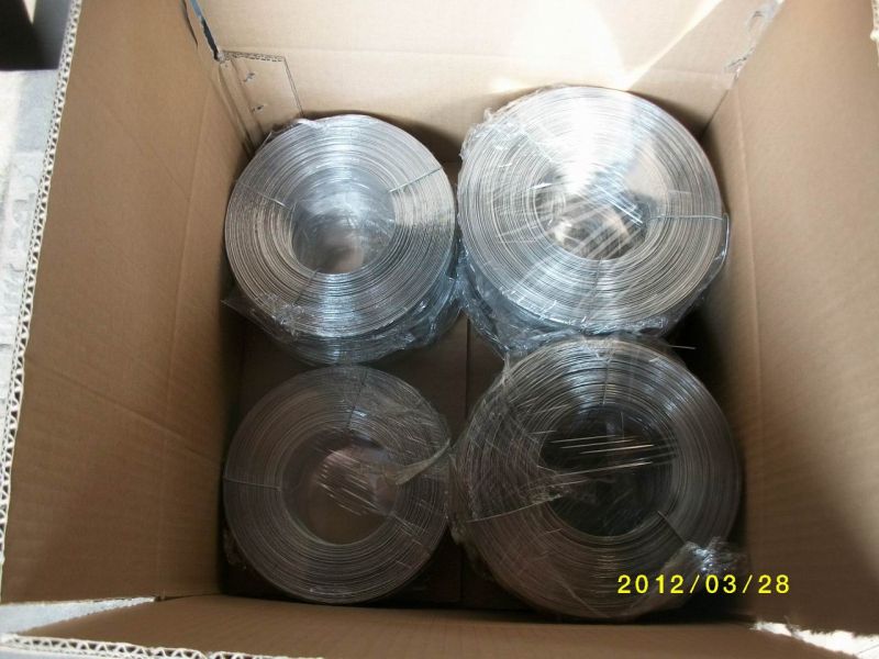 Flat Wire, Galvanized Flat Wire for Carton Nail