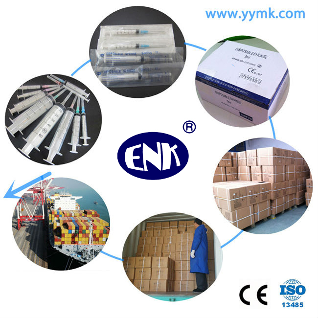 Disposable Sterile Syringe with Needle 2ml (ENK-DS-065)