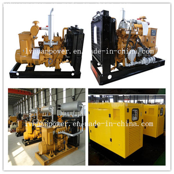 Ce Approved Biogas Methane Gas Natural Gas Generator Set (10kw-1000kw)