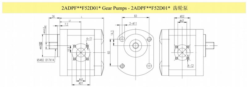 CE Proved Rotary Hydraulic Double Gear Pump with Cast Iron Cover