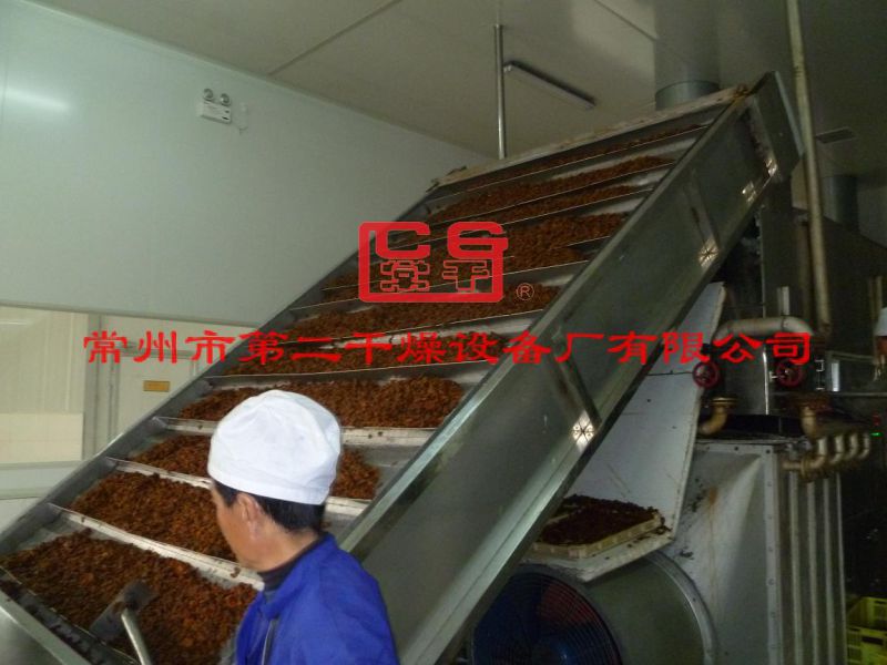 Fruit Dedicated Belt Drying Machine