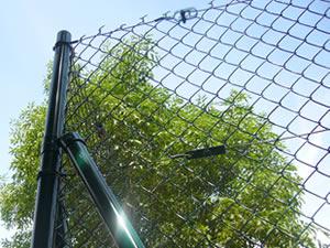 Galvanized, PVC Coating Chain Link Wire Mesh Fence