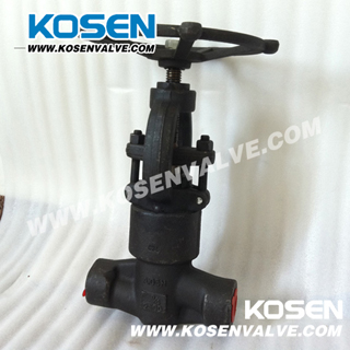 Forged Pressure Seal Globe Valve (PJ61Y-2500LB)