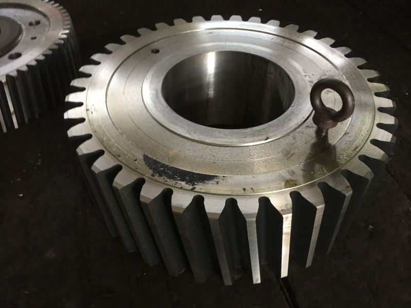 Manufacturer Supply High Precision Spur Gear