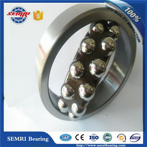 High Quality NSK Timken NTN IKO Zys 2311 Self-Aligning Ball Bearing