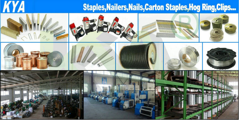 Pneumatic 14 Series Staples for Furnituring, Industry