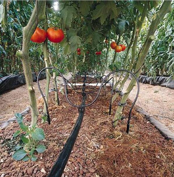 PE Drip Irrigation Pipe with Round Drippers