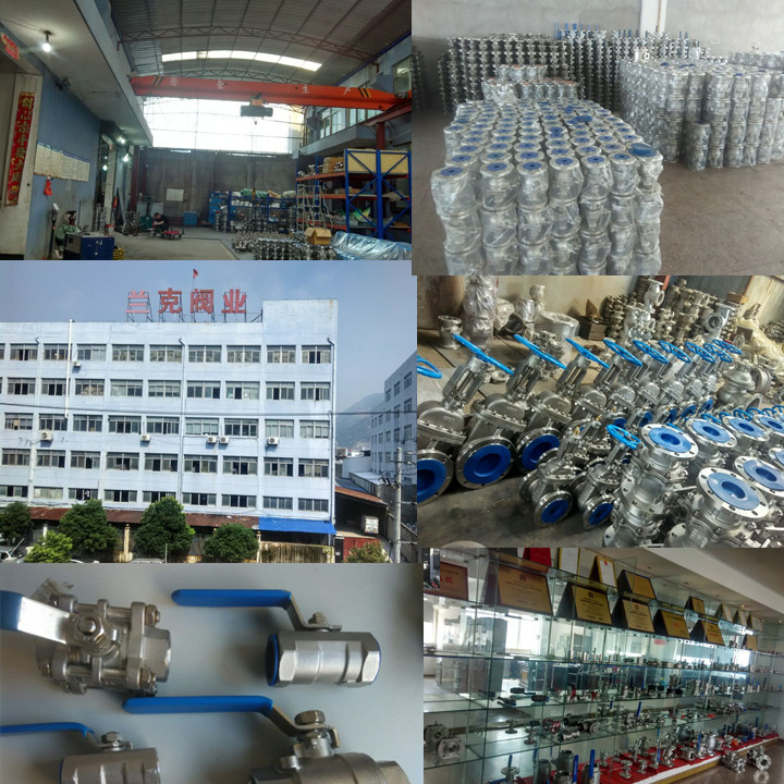 Blowout Proof Stem Stainless Steel Ball Valve with Go Operation