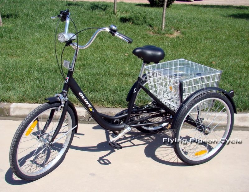 Strong Multi-Speed Elder Electric Cargo Trike (FP-ETR002)