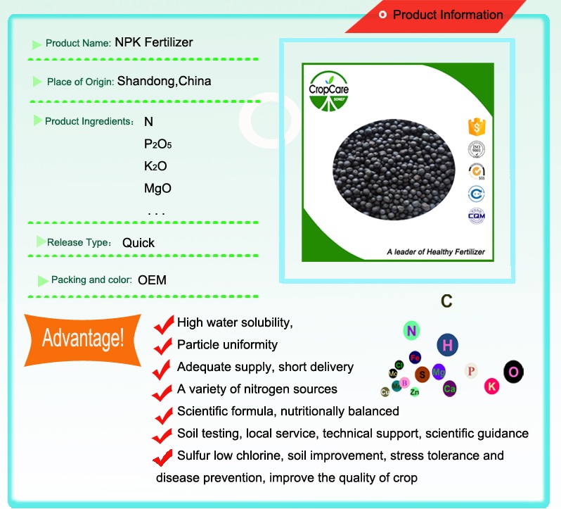 Best Price High Quality Organic NPK Fertilizer 12-12-17+2MGO