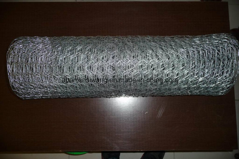 Galvanized Hexagonal Wire Mesh