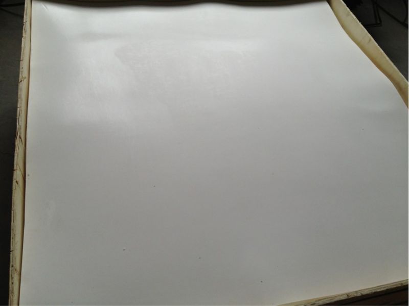 High Quality Expanded PTFE Sheet